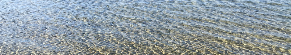 Behandlungsspektrum Psychotherapeutische Praxis