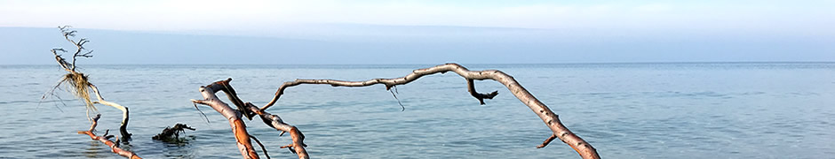Coaching zur persönlichen, beruflichen Weiterentwicklung